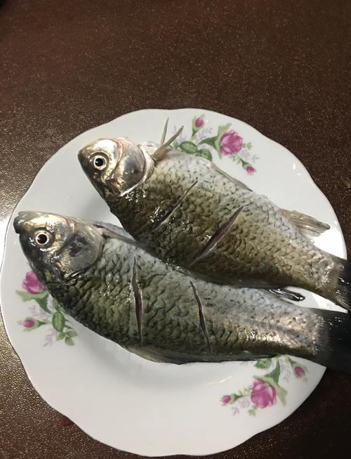 鲫鱼怎么煮给猫吃