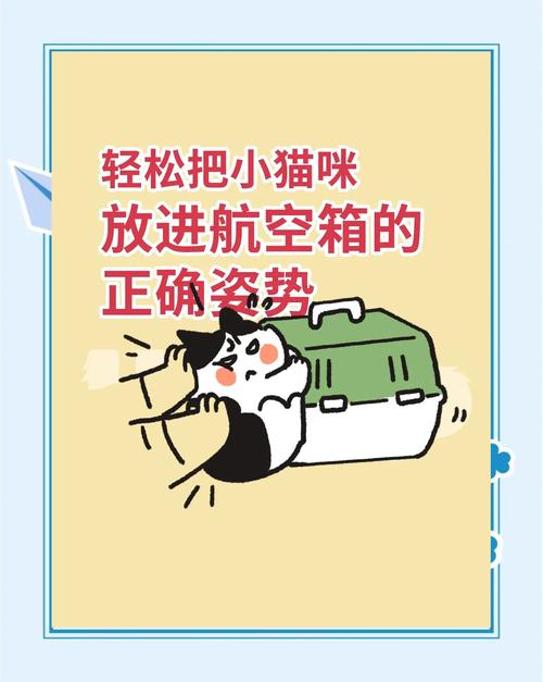 猫咪航空箱怎么安装，猫咪航空箱的门怎么打开