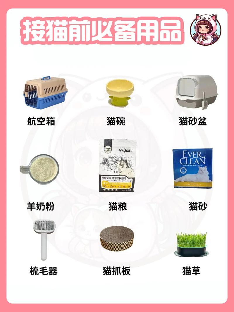 航空托运猫咪的准备工作及具体流程