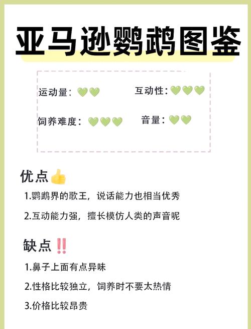 亚马逊鹦鹉多少元