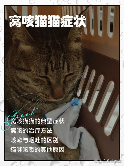 猫咪窝咳是什么症状