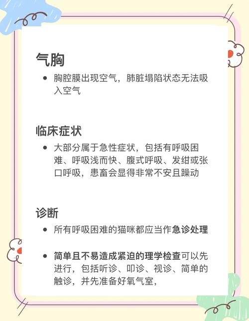 猫咪肺部有絮状物是什么原因?