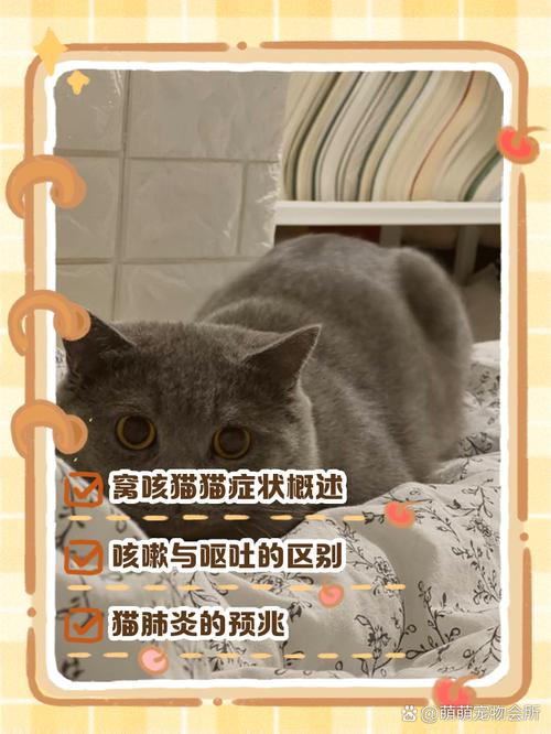 猫咪咳嗽是怎么回事?