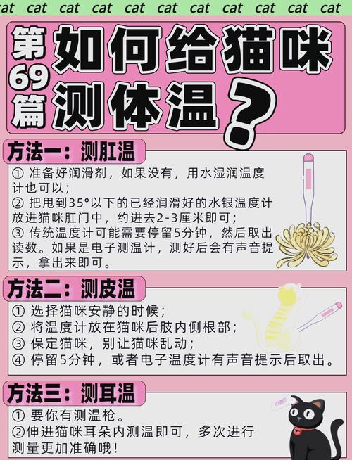 怎样为猫咪测体温?