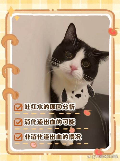 猫咪吐红水但不像血