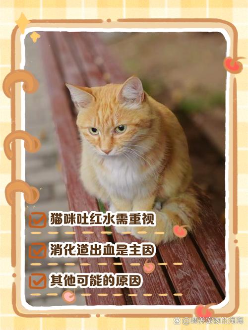猫咪吐血是怎么回事