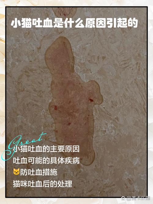 猫咪死为什么会吐血
