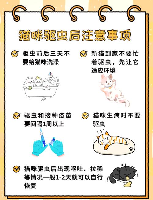 猫体外驱虫用什么药比较好啊