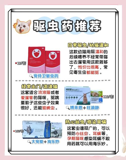 猫体外驱虫多久摘下圈