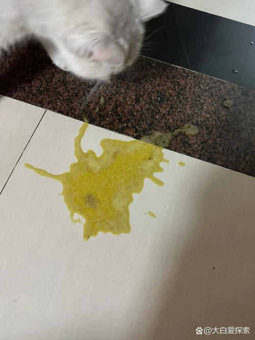 猫打完狂犬疫苗后呕吐黄水