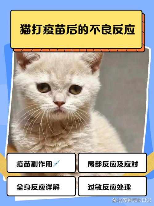 猫咪打完疫苗后正常有吗?有什么反应啊?