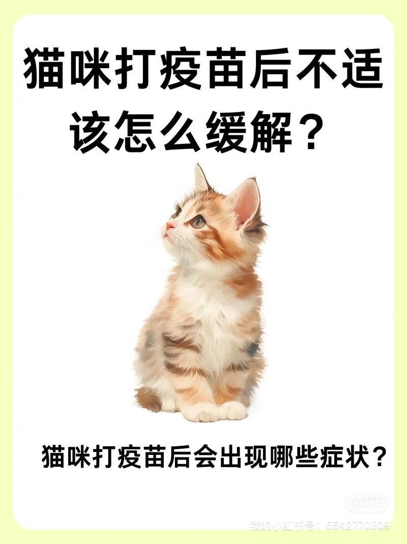 猫咪打完三联疫苗后容易出现的不良反应有哪些?