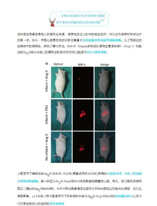 海洋馆100种动物名字有哪些?