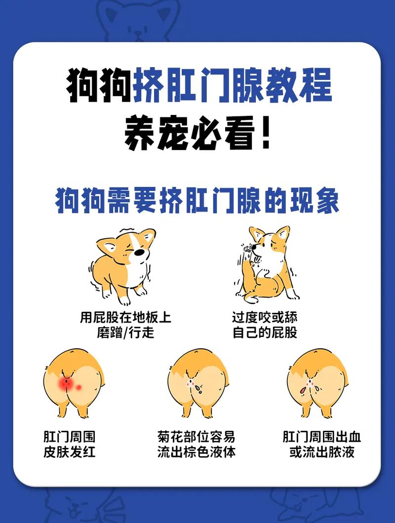 狗狗多大才可以挤肛门腺我家狗狗2个多月