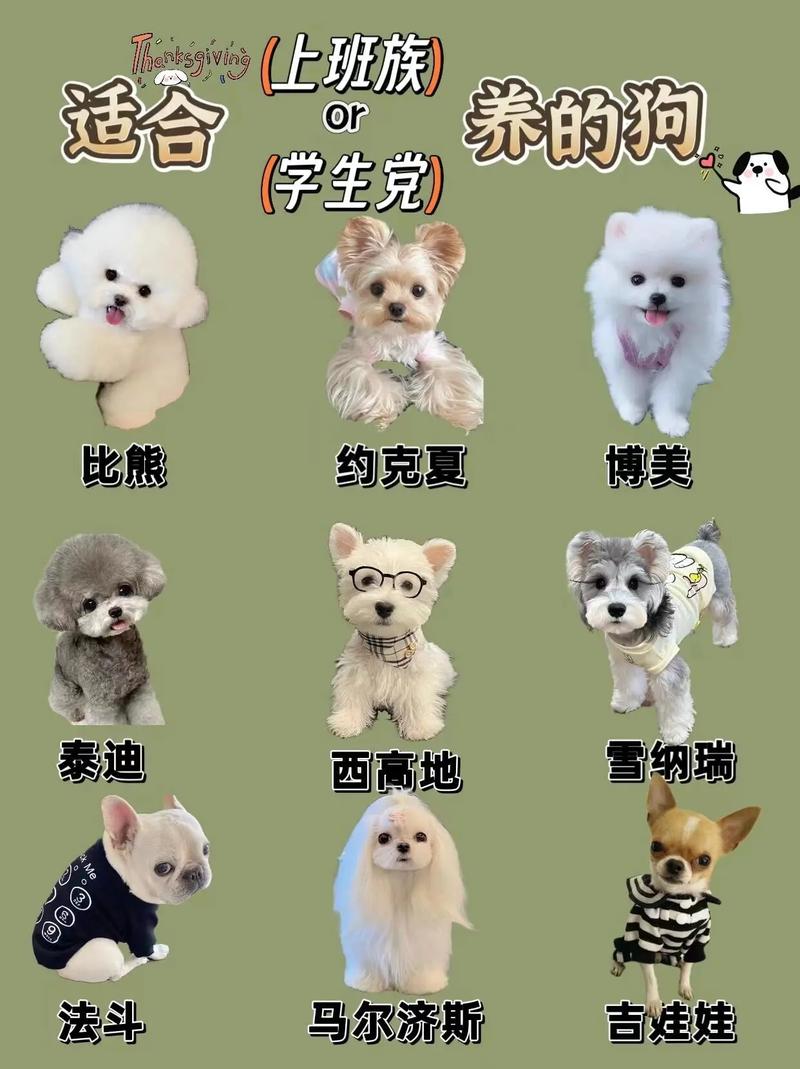 100元以下适合学生养的宠物有哪些