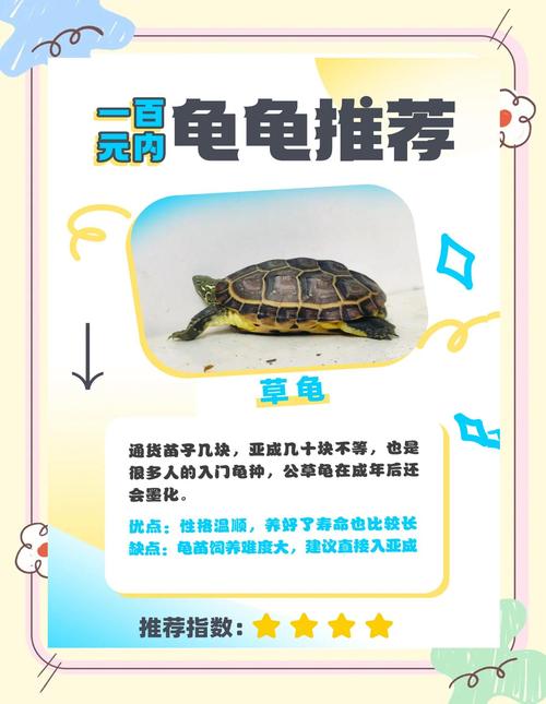 求推荐几种好养的宠物。适合学生养的,花销低的。(水族除外)