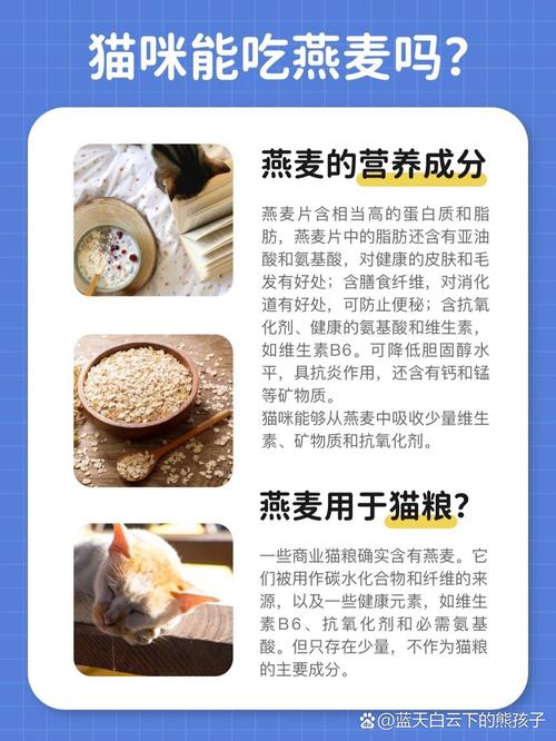 猫咪可以吃麦片吗，猫咪吃麦片吗?