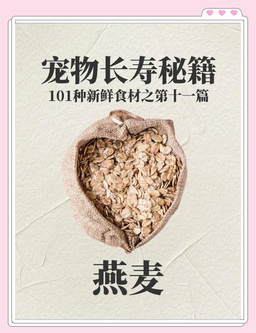 猫能吃即食燕麦片吗