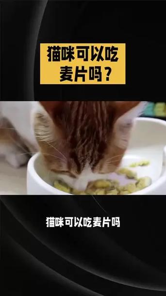 猫能不能吃麦片
