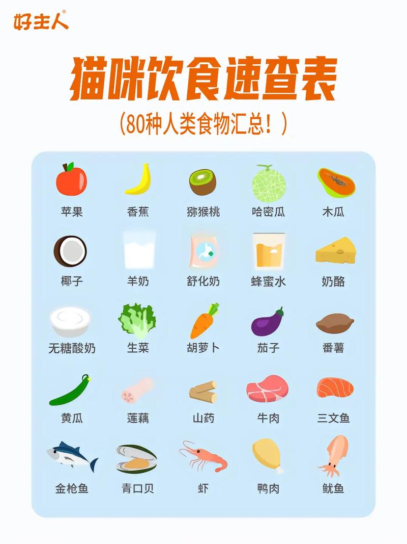 猫咪吃燕麦片需要开水冲吗