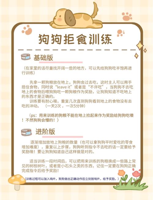 狗狗乱吃东西该怎么纠正呀?