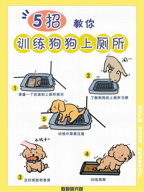 如何训练杜宾犬定点大小便?