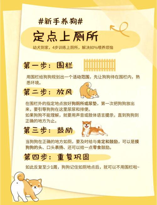 如何训练狗狗定点大小便