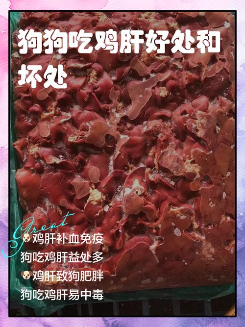 鸡肝给狗狗吃有什么好处?