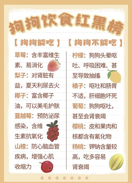狗狗可以喂人吃的火腿肠吗