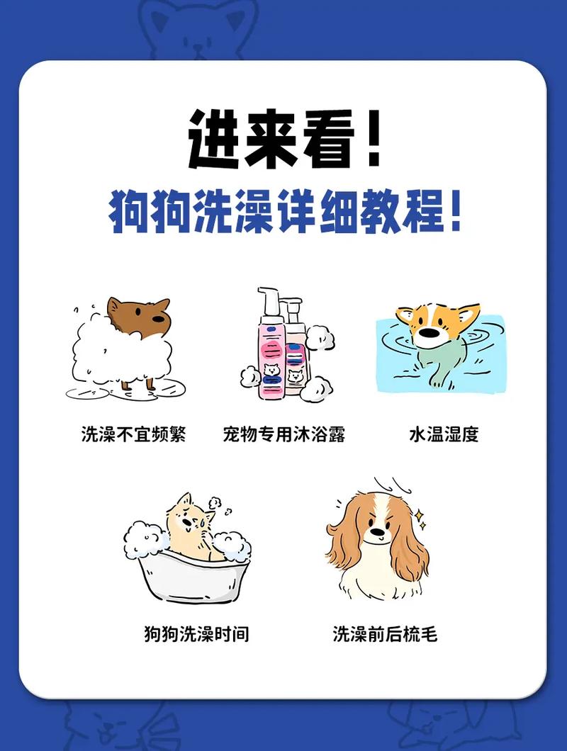 狗天天洗澡会怎么样吗