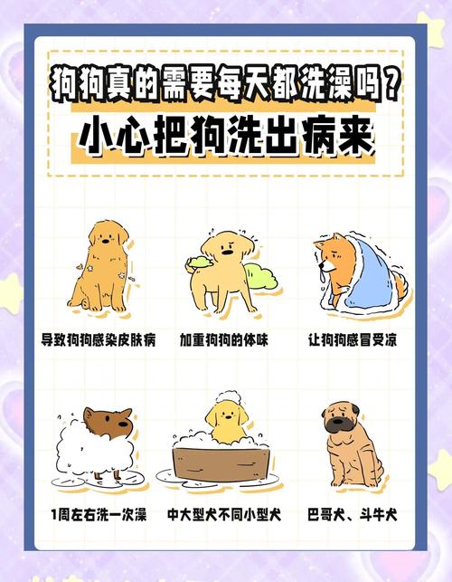 幼犬能天天洗澡吗?