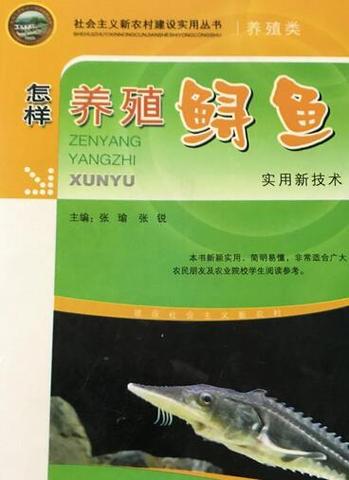 如何养殖鲟鱼?