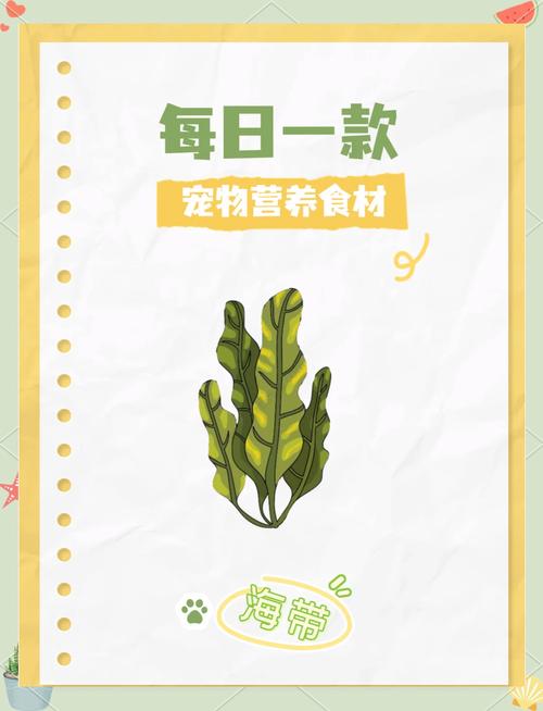 给狗狗喂海带有什么好处?