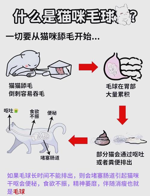 猫咪吐不出毛球怎么办，猫吐不出来毛怎么办