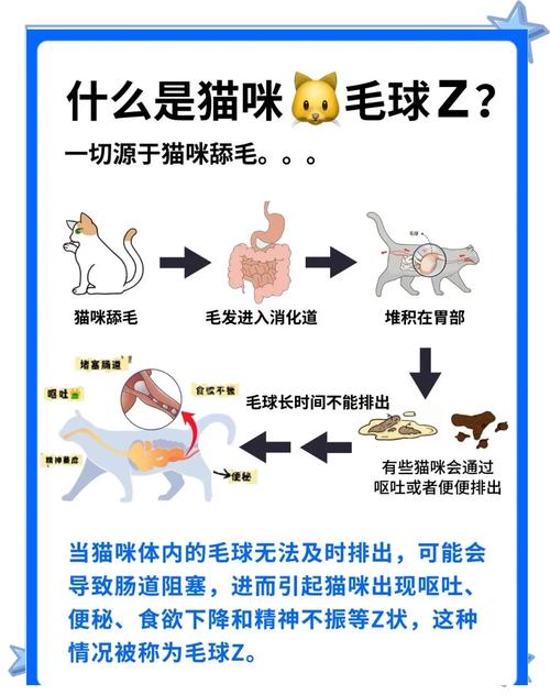 猫吐毛球没吐出来怎么办?