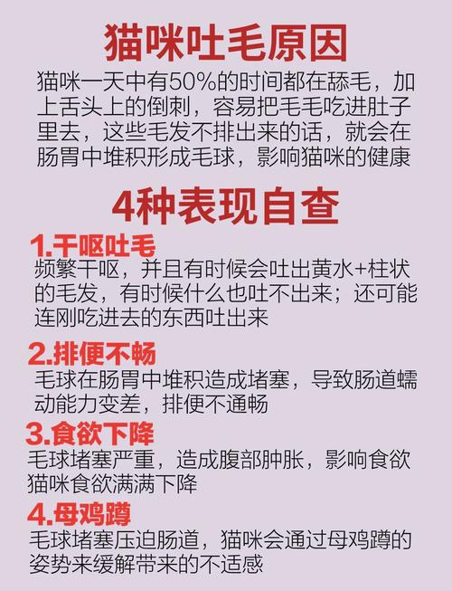 狸花猫想吐毛球吐不出,狸花猫吐毛球吐不出来,怎么办