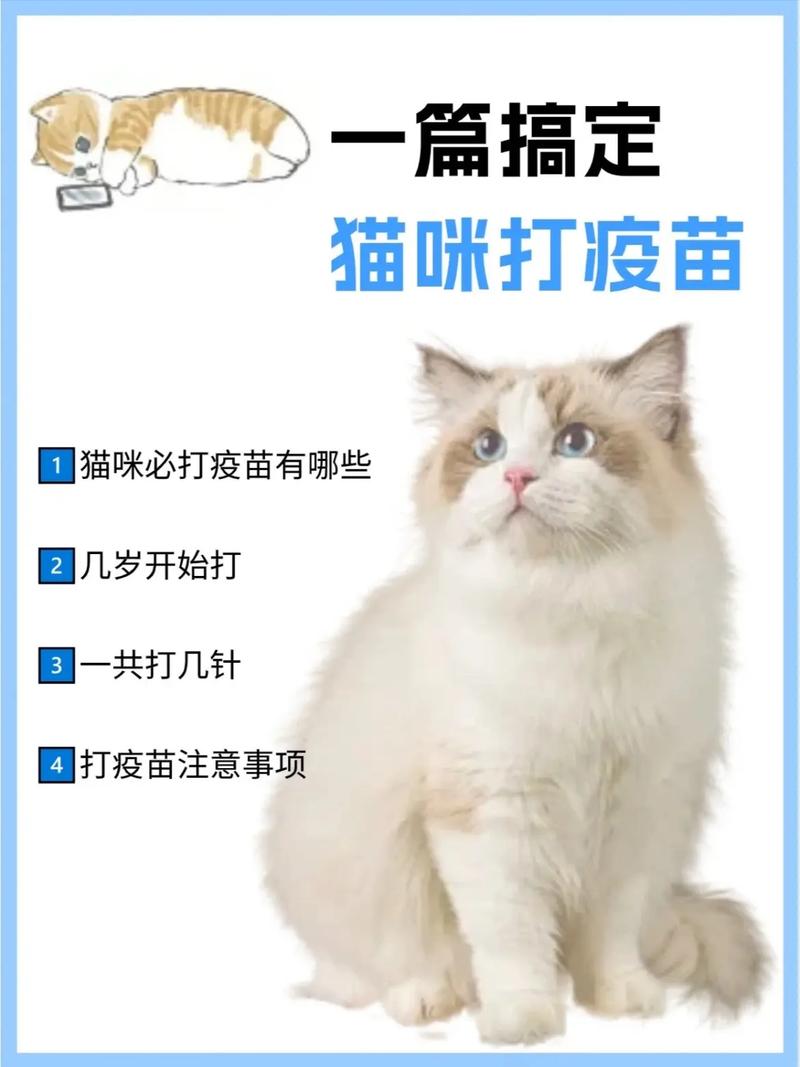 猫猫什么时候打疫苗？猫猫什么时候打疫苗合适？