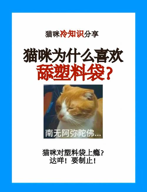 猫咪为什么喜欢舔塑料袋？猫为什么愿意舔塑料袋？