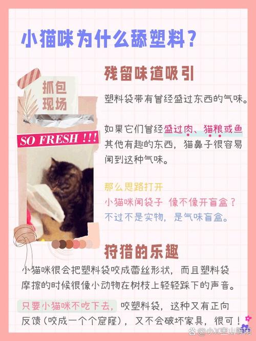 猫咪为什么喜欢舔塑料袋?