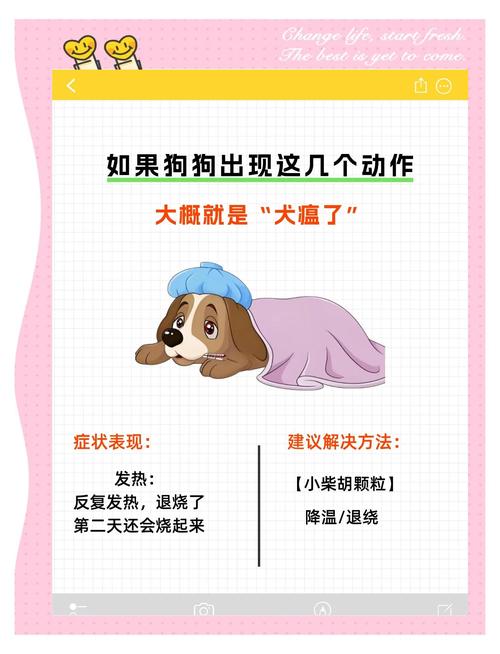 狗瘟症状及治疗方法