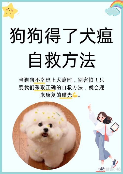 狗瘟的症状和治疗方法