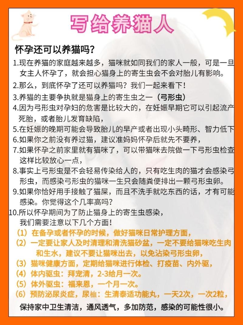 怀孕能养猫咪吗，怀孕能养猫咪吗有影响吗