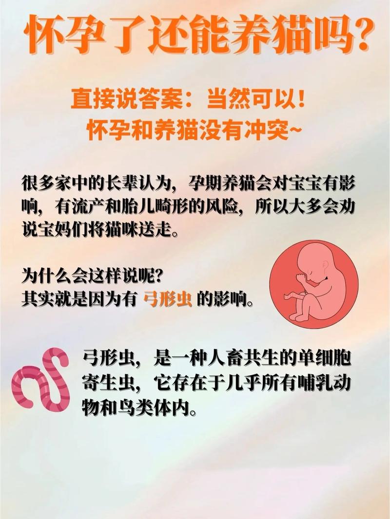 怀孕可以养猫咪吗