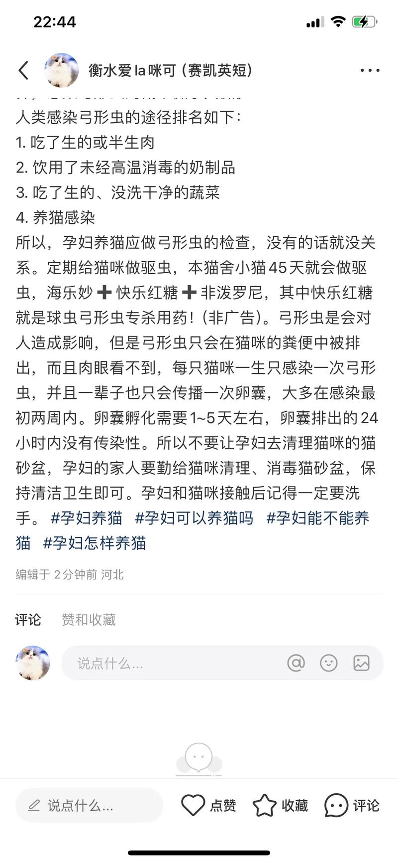 怀孕能养猫咪吗?