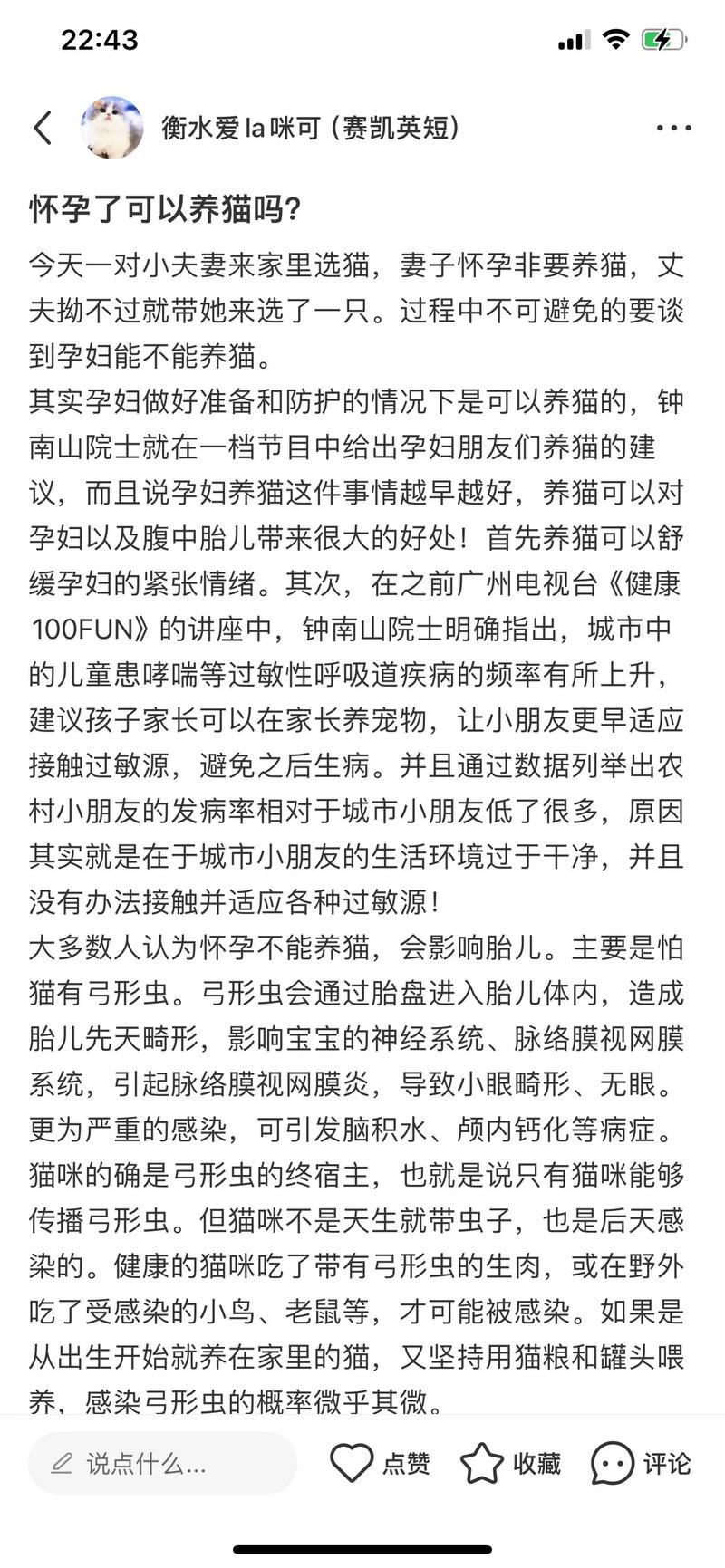 怀孕了,家里的猫咪到底还能不能继续养了