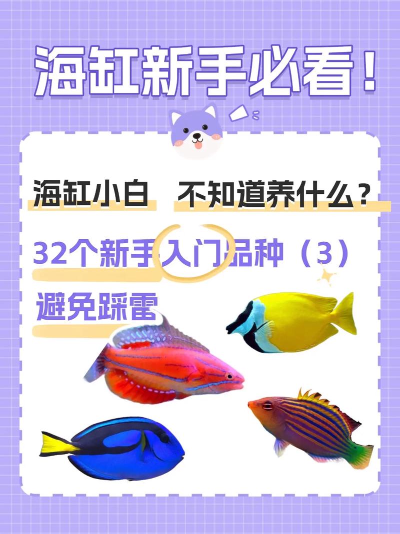 前十
最难养的热带鱼,前十
比较好
养小型观赏鱼