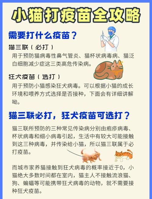 小猫轻微打喷嚏能打疫苗吗