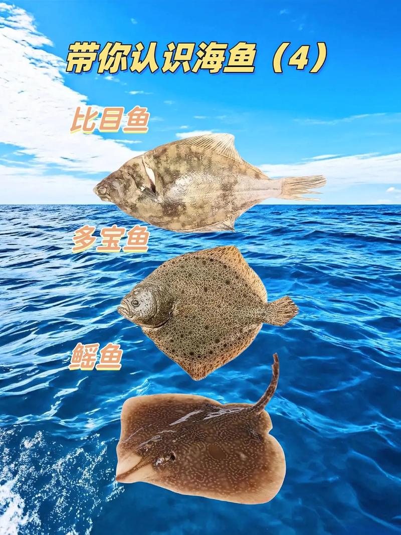 海洋馆有什么鱼的名字