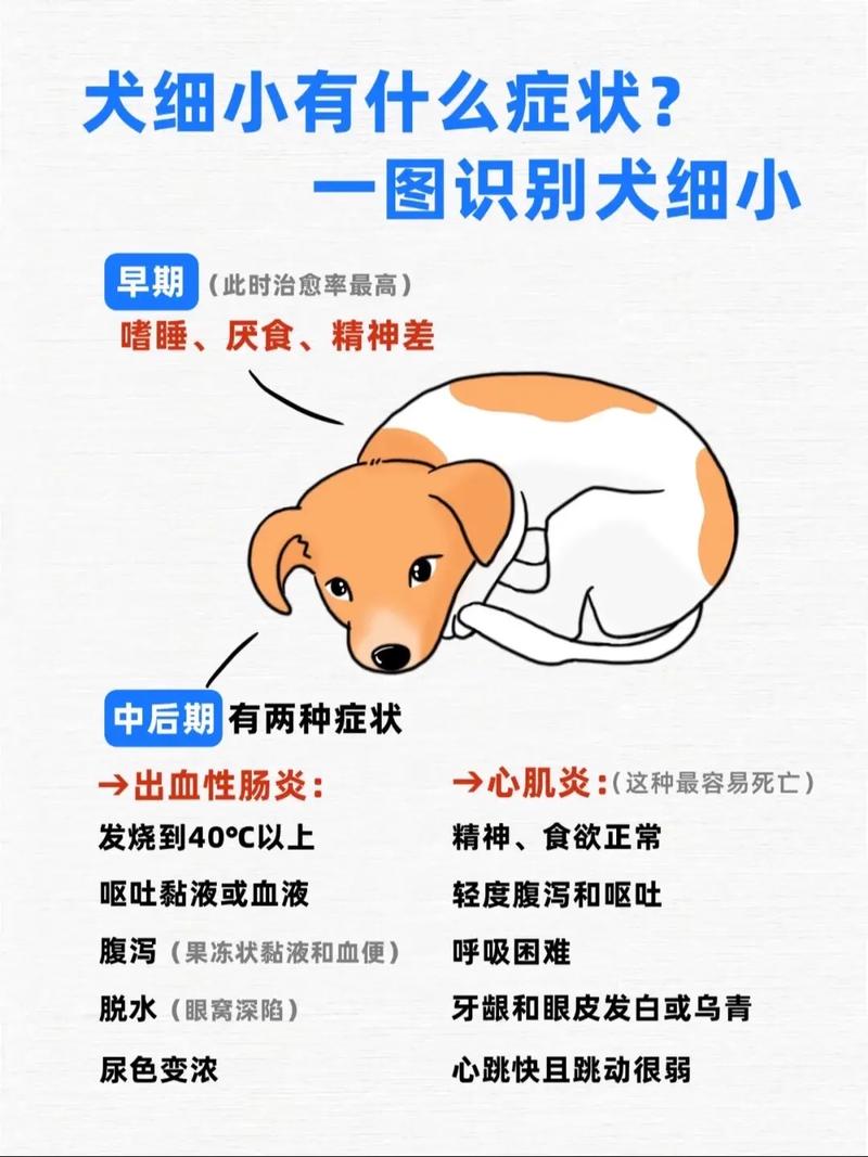 怎样才能看出狗狗得了细小