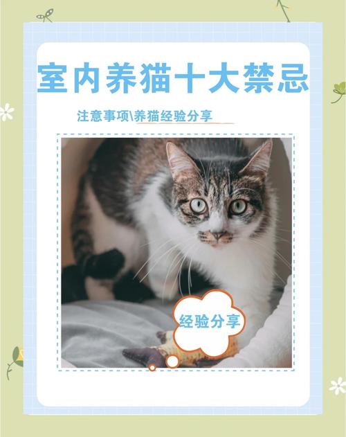 为什么有些人养猫喜欢养在家里阴气重的房间